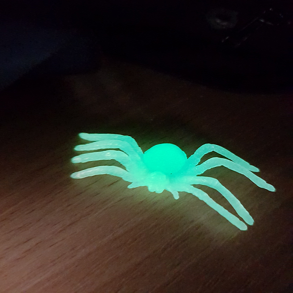Halloween-GID-Spider-4.png